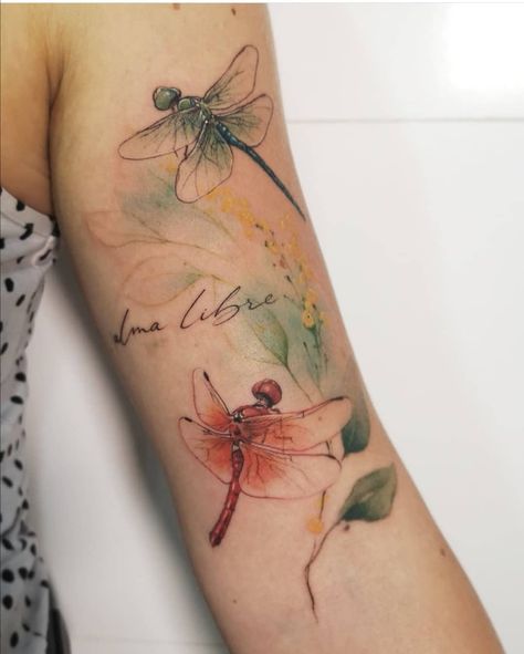 Watercolor Dragonfly Tattoo, Dragonfly Tattoo Ideas, Alaska Tattoo, Watermelon Tattoo, Dragonfly Tattoos, Classy Tattoos For Women, Small Dragonfly Tattoo, Amazing 3d Tattoos, Dragonfly Tattoo Design