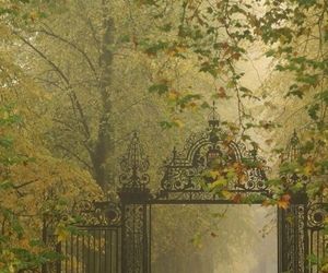 Trinity College, Iron Gate, Dark Academia Aesthetic, Jolie Photo, Alam Yang Indah, Autumn Aesthetic, Nature Aesthetic, Pretty Places, Green Aesthetic