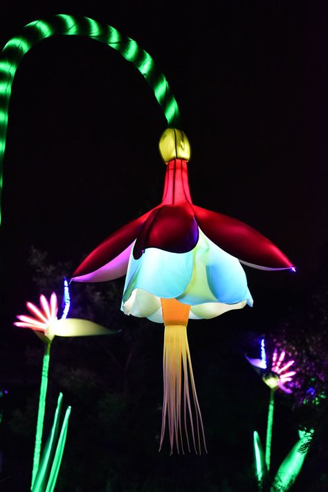 Urban Art Installation, Lantern Ideas, Lilo E Stitch, Glow Party, Chinese Lanterns, Light Sculpture, Light Project, Festival Lights, Light Installation