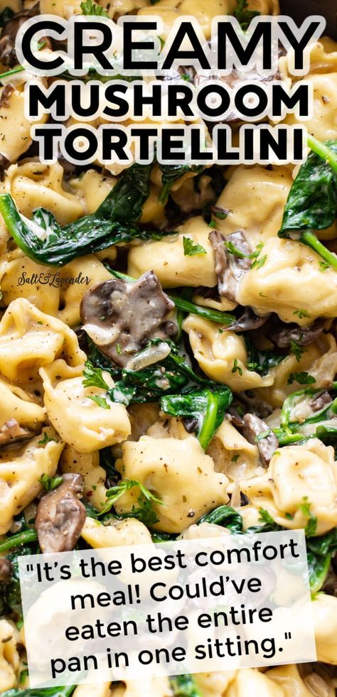 Dinner is made easy with this one pan creamy tortellini recipe! It's loaded with juicy mushrooms and spinach in a garlic cream sauce, and there's hardly any cleanup! Creamy Spinach Tortellini Soup Crockpot, Cheese Tortellini Mushroom Recipes, Tortellini With Mushrooms And Spinach, Garlic Chicken Tortellini Recipes, Tortellini And Mushrooms, Tortellini For A Crowd, Chicken Mushroom Tortellini Recipes, Mushroom Tortellini Sauce, Sausage Stuffed Tortellini Recipes