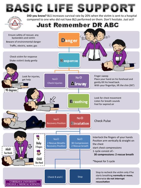 BLS Algorithm Basic Life Support Poster, Emt Basic, Primum Non Nocere, Health And Safety Poster, Paramedic School, Nursing Cheat, Medical Tips, First Aid Tips, Basic Life Support