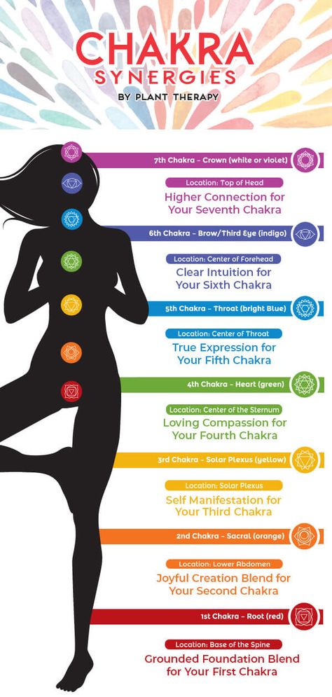 The Solar Plexus Chakra: Self Manifestation - Naturally Blended Self Manifestation, 3rd Chakra, Ascending Order, Subtle Energy, The Solar Plexus Chakra, The Throat Chakra, 2nd Chakra, Second Chakra, Higher State Of Consciousness