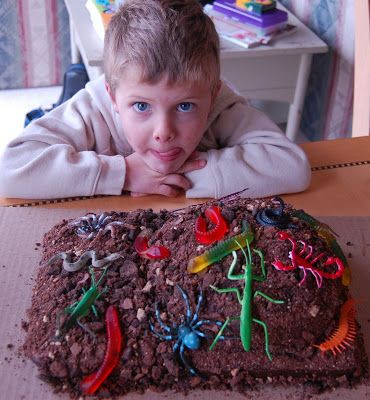 Bug Birthday Cakes, 9x13 Cake, Bug Cake, Cookie Birthday Party, Mothers Day Breakfast, Birthday Decorations Kids, Big Cakes, Garden Birthday, My Son Birthday