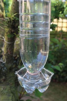 Water For Birds, Homemade Bird Houses, Homemade Bird Feeders, Water Station, Simple Garden, Water Source, Diy Bird Feeder, Garden Birds, Diy Birds