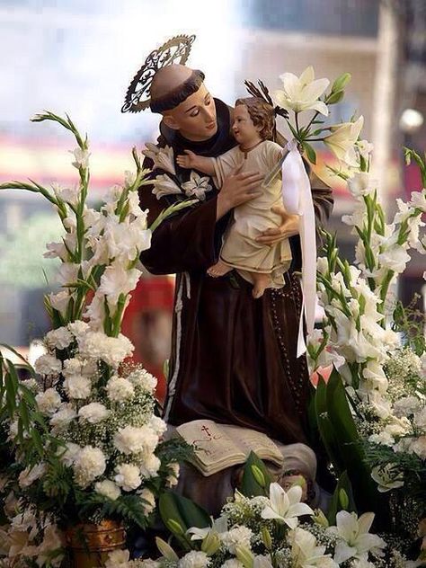 St Anthony of Padua St Antony Images Hd, St Anthony's Feast, St Anthony Prayer, Saint Antonio, Saint Antony, St Anthony Of Padua, Anthony Of Padua, St Anthony's, Friend Of God