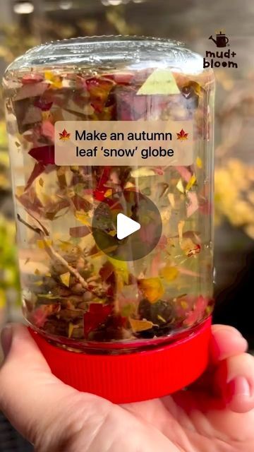 Autumn Leaf Snow Globe, Season Changes Preschool Activities, Outdoor Autumn Activities Eyfs, Early Years Autumn Activities, Autumn Provocations, Autumn Activities For Babies, Kindergarten Autumn Activities, Autumn Eyfs Activities, Wednesday Ideas