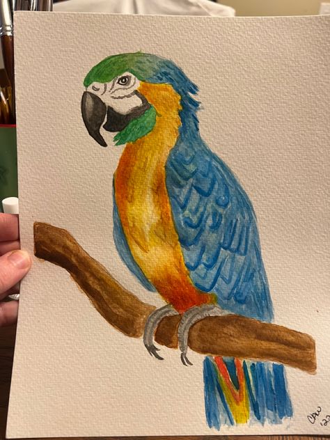 Parotts Bird Drawing, Green Parrot Drawing, Parrot Drawing Pencil, Macaw Parrot Drawing, Pencil Colours Art Drawings, Electricity Art, Parrot Drawing, Bird Painting Acrylic, Abstract Art Paintings Acrylics