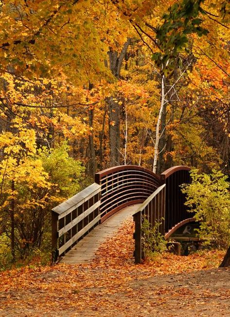 Autumn Bridge, Autumn Scenes, Autumn Scenery, Foto Art, Autumn Beauty, Fall Pictures, A Bridge, Lombok, On The Ground