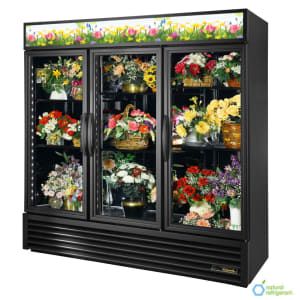 Shelves White, Commercial Refrigerators, Steel Floor, Glass Hinges, Door White, Swinging Doors, Floral Cases, White Powder, Floral Shop