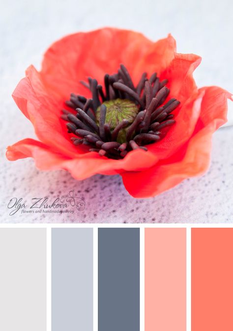 Flower Boutonniere, Flower Lapel Pin, Lapel Flower, Color Schemes Colour Palettes, Design Palette, Color Palate, Design Seeds, Red Poppy, Color Inspo