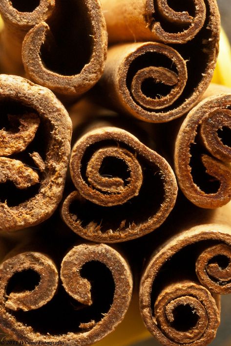 Fruits Photography, Spirals In Nature, Kek Lapis, Ceylon Cinnamon, Color Study, Fruit Photography, Still Life Photos, Cinnamon Spice, Spices And Herbs