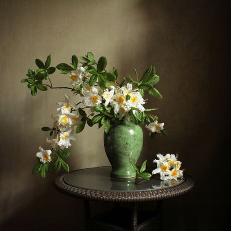 #Still #Life #Photography Букет© galka63 Flowers In Vase Photography Still Life, Still Life Flowers Photography, Flowers In Vases, Still Life Pictures, Still Life Flowers, Flower Vase Arrangements, Cat Air, Still Life Photos, Still Life Drawing