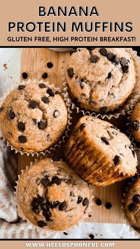 Banana Protein Muffins - Hello Spoonful Protein Muffins Banana Chocolate Chips, Banana Chocolate Chip Muffins With Protein Powder, Banana Muffins Protein Powder, Protein Banana Oatmeal Muffins, Healthy High Protein Banana Muffins, Protein Banana Chocolate Muffins, High Protein Banana Oat Muffins, Healthy Muffin Recipes Protein, Macro Banana Recipes