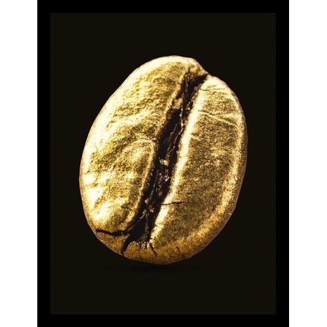 Coffee Beans Art, Coffee Beans Photography, Golden Coffee, Coffee Bean Art, Design Café, Modern Graphic Art, Coffee Menu, Food Truck Design, Pumpkin Spice Coffee