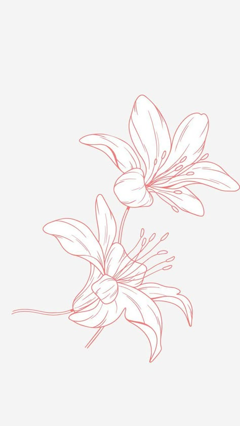 Japanese Lily Tattoo, Lillie’s Tattoo, Catharsis Tattoo, Fine Line Lily Tattoo, Lilly Tattoos, Amaryllis Tattoo, Lilly Tattoo Design, Lilly Flower Tattoo, Tattoo Crystal