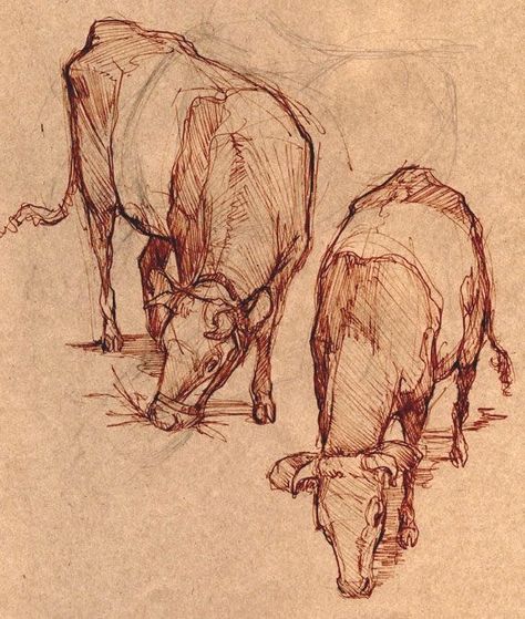 Cow Sketch, Cow Drawing, Nature Sketch, Cow Painting, Cow Art, Arte Sketchbook, Sketchbook Inspiration, Animal Sketches, Arte Animal