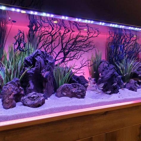 Cool Fish Tank Decorations, Cichlid Aquarium, Fish Aquarium Decorations, Fish Tank Themes, Amazing Aquariums, Fish Tank Terrarium, Cool Fish Tanks, Fish Tank Design, Tropical Fish Tanks