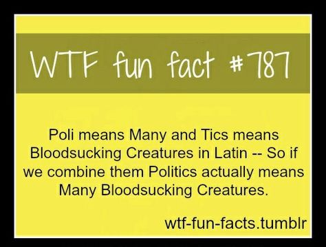 wtf fun fact. Weird Fun Facts, Useless Facts, Mind Strong, Fun Facts Mind Blown, Collateral Beauty, Creepy Decor, Crazy Facts, Newt Scamander, Secret Crush