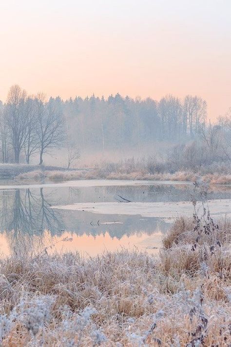 Pastel Winter, Snow Nature, Mountain Landscape Photography, Belle Nature, Landscape Photography Tips, Winter Nature, Landscape Photography Nature, Winter Scenery, Winter Aesthetic