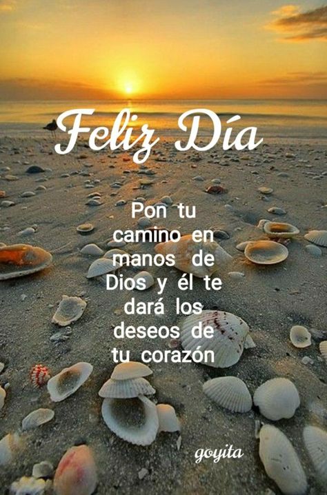 Morning Sunshine Quotes, God's Miracles Quotes, Good Morning Hug, Good Day Messages, Blessing Words, Quotes Good Morning, Good Morning Sunshine Quotes, Cute Spanish Quotes, Quotes Cute