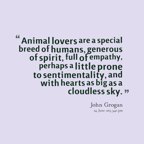 Quotes About Humans And Animals. QuotesGram by @quotesgram Quotes About Humans, Animal Lover Quotes, Empathy Quotes, Humans And Animals, Vegan Quotes, Quotes By Authors, Animal Quotes, Dog Quotes, Animal Lovers