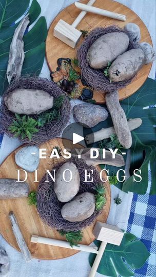 Dinosaur Rocks, Dinosaur Figurine, Playgroup Ideas, Dinosaur Theme Preschool, Grandma Camp, Science Experience, Dino Eggs, Cool Dinosaurs, Fall Preschool Activities