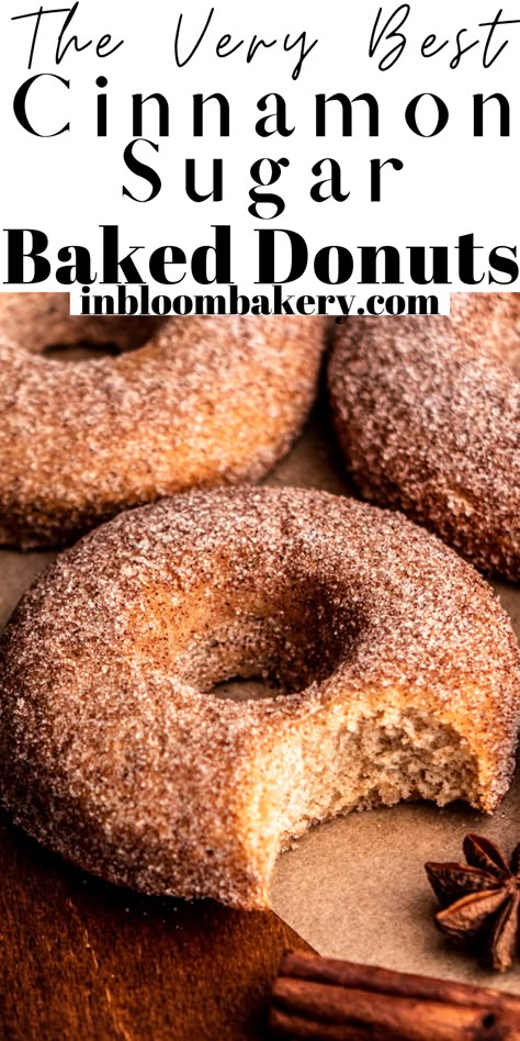 These are the best cinnamon sugar donuts! They're super moist, full of cinnamon flavor and rolled in a cinnamon-sugar mixture! These delicious donuts will be your new favorite recipe! Cinnamon Donut Cake, Cinnamon Sugar Donut Recipe, In Bloom Bakery, Bloom Bakery, Doughnut Recipes, Christmas Trifle, Baked Donut, Homemade Donuts Recipe, Homemade Doughnuts