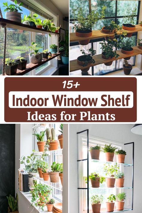 Hanging Shelf In Front Of Window, Window Ledge Plants Indoor, Indoor Window Sill Planter Ideas, Window Hanging Plants Diy, Plant Stands For Windows, Garden Outside Bathroom Window, Atrium Plants Ideas, Window Seat Plant Ideas, Window Planter Shelves