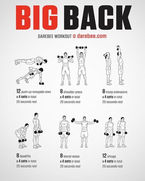 Big Back Workout, Dumbbell Workout Plan, Boxing Training Workout, Workout Gym Routine, Workout Men, Workout Program Gym, Bodybuilding Workouts Routines, Gym Workout Planner, Full Body Workout Routine