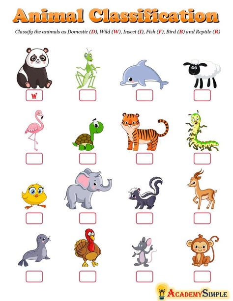 Domestic Animals Preschool, Animal Classification Worksheet, Evs Worksheet, Media Pembelajaran, Kinds Of Animals, Zoo Activities, Telling Time Worksheets, Kindergarten Phonics, Holiday Homework