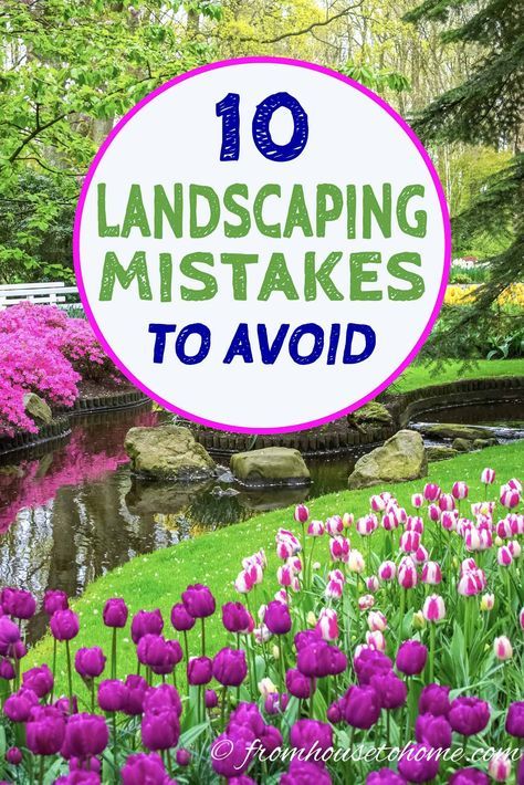 Avoiding these garden landscaping mistakes will really help my lawn and garden to be the best ever this year. Can't wait to update my garden design using these tips that will help create amazing gardens. #fromhousetohome #gardeningtips #gardening #gardenlandscaping #gardendesign #backyardlandscaping Beginners Landscaping, Garden Escape, Backyard Landscaping Plans, Backyard Garden Landscape, Garden Wallpaper, Easy Landscaping, Wildflower Garden, Landscape Plans, Home Landscaping