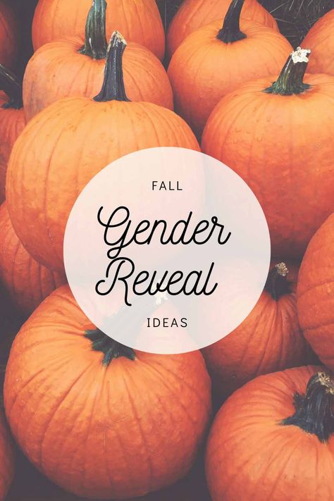 Gender Reveal Ideas Fall Theme, Gender Reveal Picture Ideas, Fall Gender Reveal Ideas, Fall Gender Reveal Party, Pumpkin Gender Reveal, Gender Reveal Party Theme, Gender Reveal Themes, Gender Reveal Ideas, Gender Reveal Party Decorations