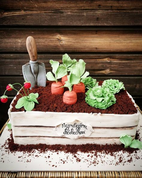 Gardener Cake For Men, Gardening Cake Ideas, Gardening Birthday Cake, Plant Pot Cake, Vegetable Cake Design, Simple Garden Cake, Birthday Cake Garden Theme, Plant Birthday Cakes, Cake Shapes Ideas