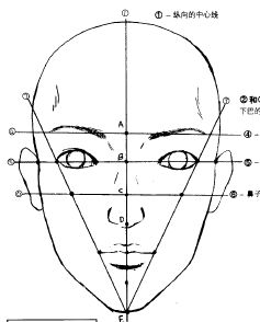 Drawing guidelines for Manga Face Drawing Faces Guidelines, Facial Details Drawing, Face Portions Drawing, Face Guidelines Drawing Realistic, Guide Lines Drawing Face, Portrait Tips Drawing, Face Features Drawing, Facial Structure Drawing, Basic Face Drawing