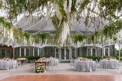 Hudson Valley Wedding Venues, Tent Ideas, Wedding G, Wedding Arch Flowers, Hudson Valley Wedding, Wedding Tent, Natural Wedding Makeup, Marquee Wedding, Valley Wedding