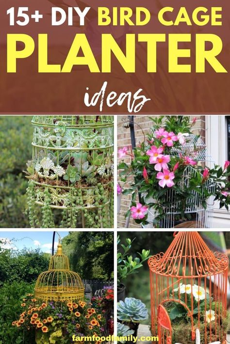 15+ Best Repurposed Bird Cage Planter Ideas for 2019 Garden Bird Cage Ideas, Bird Cage In Garden Ideas, Boho Birdcage Decor, Birdcage Planter Ideas, Garden Birdcage Ideas, Birdcage Outdoor Decor, Decorate Bird Cage, Birdcage In Garden, Bird Cage Planters Outdoor