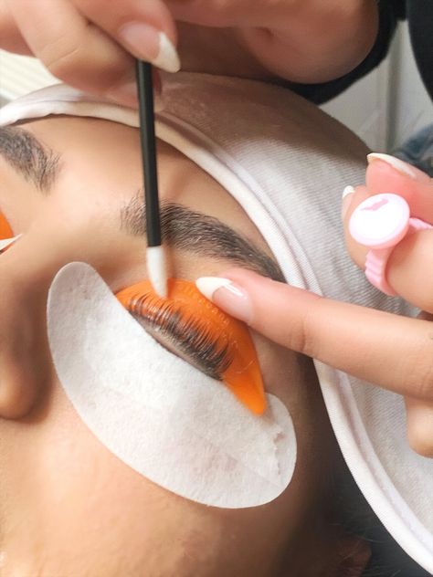 Lash Lift and Lash Tinting — Blushaé | Home of Luxe Beauty | Bella Vista Lash Tinting, Lash Lift And Tint, Lash Tint, Bella Vista, Lash Lift, False Lashes, Natural Shapes, Esthetician, Makeup Organization