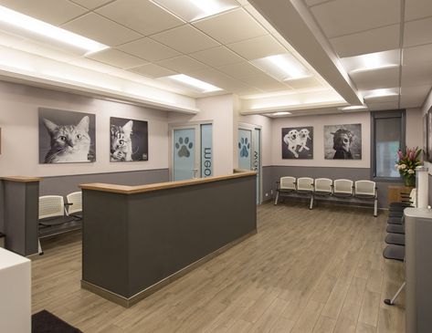 See how we can help you create or reimagine your veterinary practice facility into your vision of the perfect practice! Vet Office Decor, Veterinary Design, Veterinarian Office, Apex Design, Waiting Room Design, Vet Office, Medical Office Design, Hospital Architecture, Hospital Interior