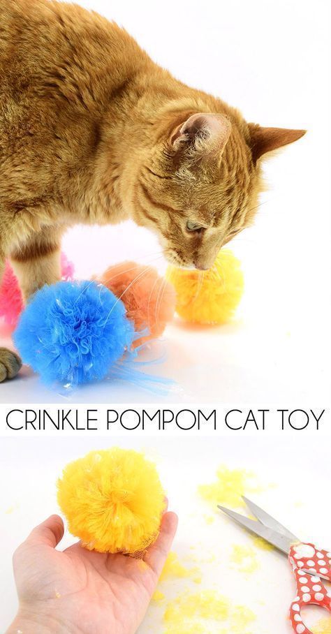 These crinkle pompom cat toys are so easy to make and have that crinkly sound that all kitties just love! Pompom Cat, Diy Chat, Kat Diy, Gatos Cool, Crochet Cat Toys, Homemade Cat Toys, Chat Crochet, Diy Pet Toys, Cats Stuff