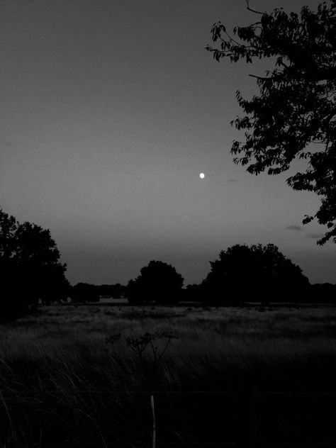 Fit Moodboard, Field Black And White, Black And White Moon, Background Reference, Black Grass, Painting Practice, Painting Stuff, Cotton Fields, Grassy Field