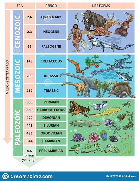 Geologic Time Scale Timeline Project, Geology Poster Design, Geological Time Scale Project, Time Periods History, Geological Time Scale Timeline, Geologic Time Scale Drawing, Periods Illustration, Geology Study, Prehistoric Timeline