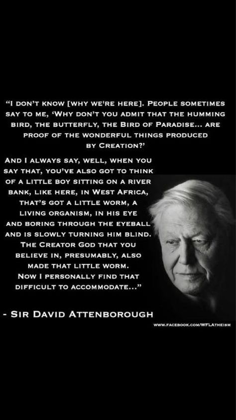 Aaaand this is where Sir David Attenborough runs out of brayns and acommodative thinking.. David Attenborough Quotes, A 10 Warthog, Atheist Quotes, Losing My Religion, Anti Religion, David Attenborough, A Quote, Wise Quotes, Thought Provoking