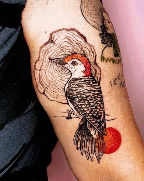 Woodpecker tattoo bird nature animal sun circle kółko słońce ptak dzięcioł tatuaż ink tusz maziaje graphic dotwork line wood drzewo drewno flash design Downy Woodpecker Tattoo, Woodpecker Tattoo, Beauty Marks, Downy Woodpecker, Beauty Mark, Tattoo Idea, Tattoos And Piercings, Tatting, Tattoo Ideas