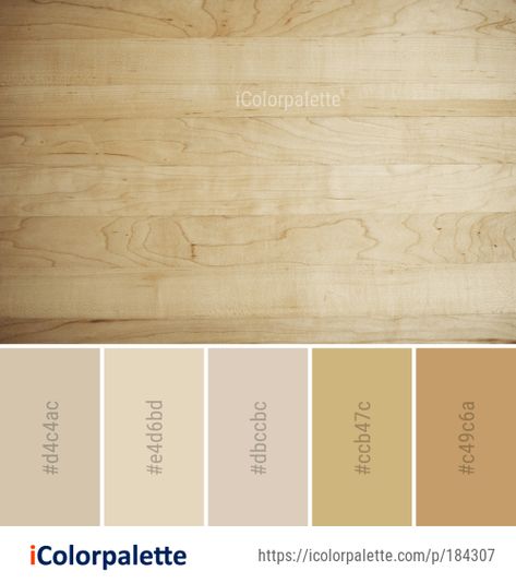 30 Plywood Color Palette ideas in 2021 | iColorpalette Pine Wood Color Palette, Kitchen Pallet Ideas Colour Palettes, Wood Furniture Colors, Chalet Ideas, Plywood Wall, Wall Stains, Flooring Hardwood, Sea Point, Color Palette Ideas