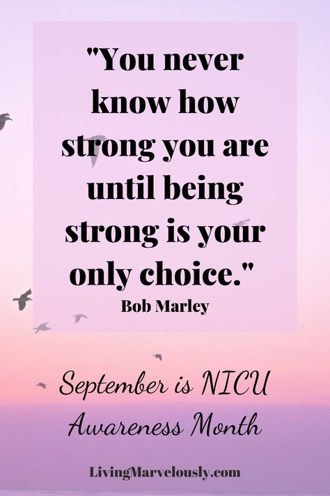 September is NICU Awareness Month and since my grandson is in the NICU right now, I'm honoring the parents, babies, and medical staff who help bring miracles every day. Nicu Awareness Month September Quotes, Nicu Awareness Month September, Nicu Baby Quotes, Nicu Awareness Month, Nicu Babies Quotes, Nicu Parents, September Quotes, Mom Quotes From Daughter, Positive Memes