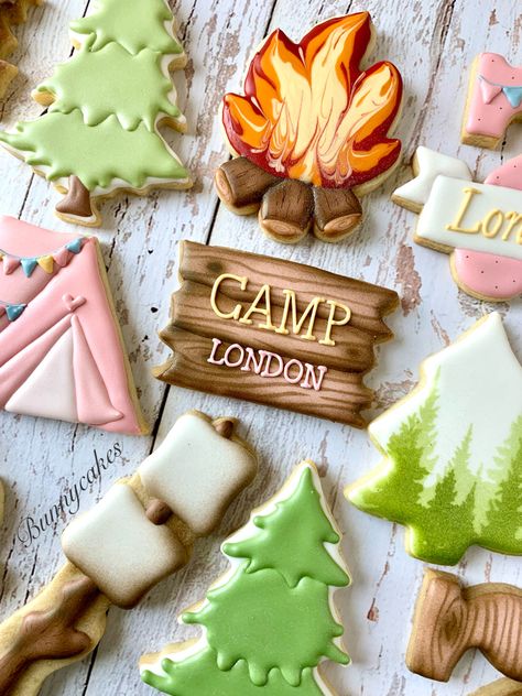 Bonfire Cookies Decorated, Smores Cookie Decorated, Camping Birthday Cookies Decorated, Outdoor Cookies Decorated, Smore Cookies Decorated, S’mores Cookies Decorated, Glamping Cookies Decorated, Cabin Cookies Decorated, Camp Cookies Decorated