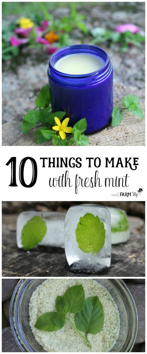 10 Things to Make with Fresh Mint Truck Garden, Stomachache, Mint Plants, Mint Recipes, Herb Recipes, Alpine Plants, Herbal Recipes, Natural Healing Remedies, Plant Garden