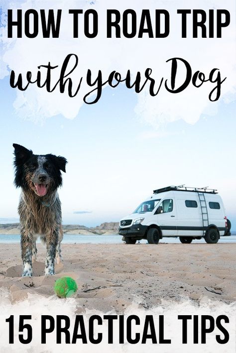 Road Trip With Dog, Dog Exercise, Road Trip Hacks, Dog Care Tips, Training Your Puppy, Pet Hacks, Dog Obedience, Dog Training Obedience, Dog Travel