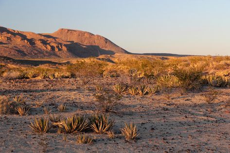 American Desert Landscape, Desert Desktop Wallpaper, Texas Landscape Photography, Texas Desert Landscaping, Texas Background, West Texas Landscape, Southwestern Gothic, Texas Nature, Texas Aesthetic