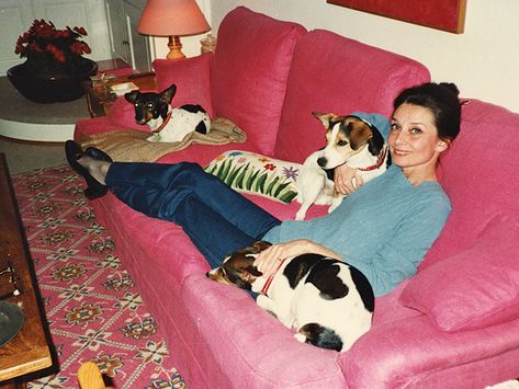 Audrey Hepburn Sons, Audrey Hepburn Outfit, Jack Russell Terriers, Audrey Hepburn Photos, Pink Couch, Audrey Hepburn Style, Jack Russells, Russell Terrier, Jack Russell Terrier